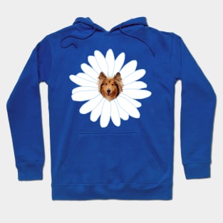 Collie Flower Daisy Dog Hoodie